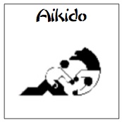 learn aikido now
