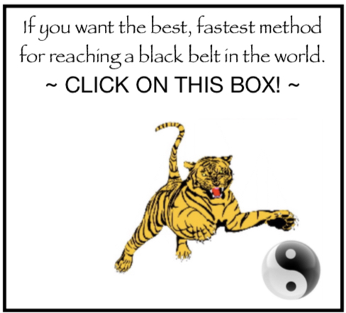 hard punch knock out 